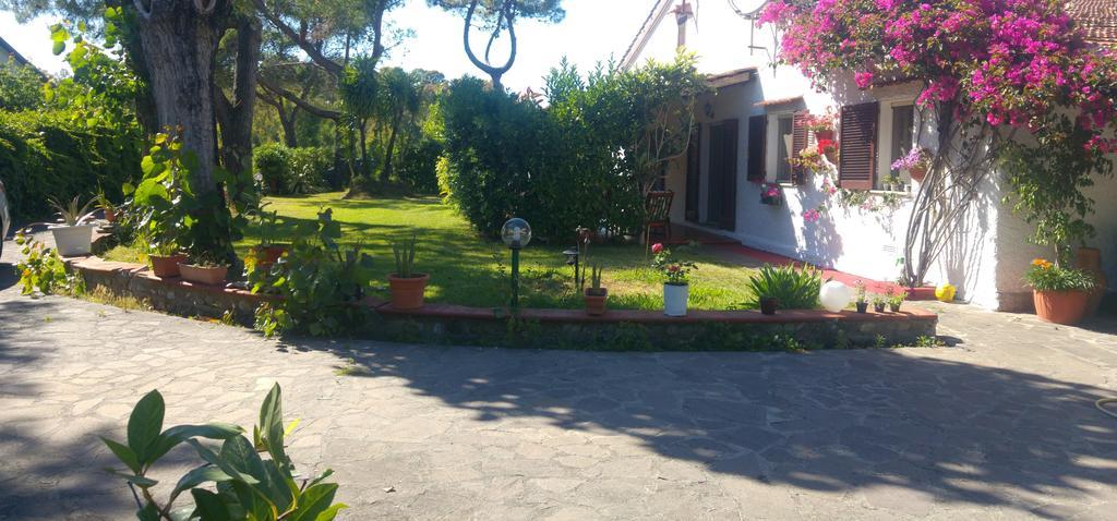 La Corte Delle Rose B&B Praia a Mare Eksteriør billede