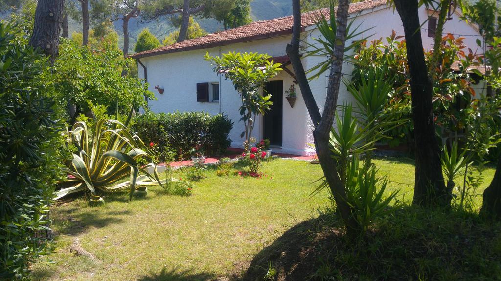 La Corte Delle Rose B&B Praia a Mare Eksteriør billede