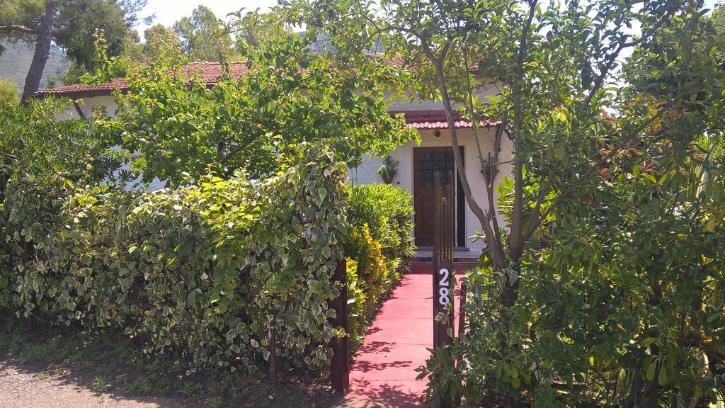 La Corte Delle Rose B&B Praia a Mare Eksteriør billede