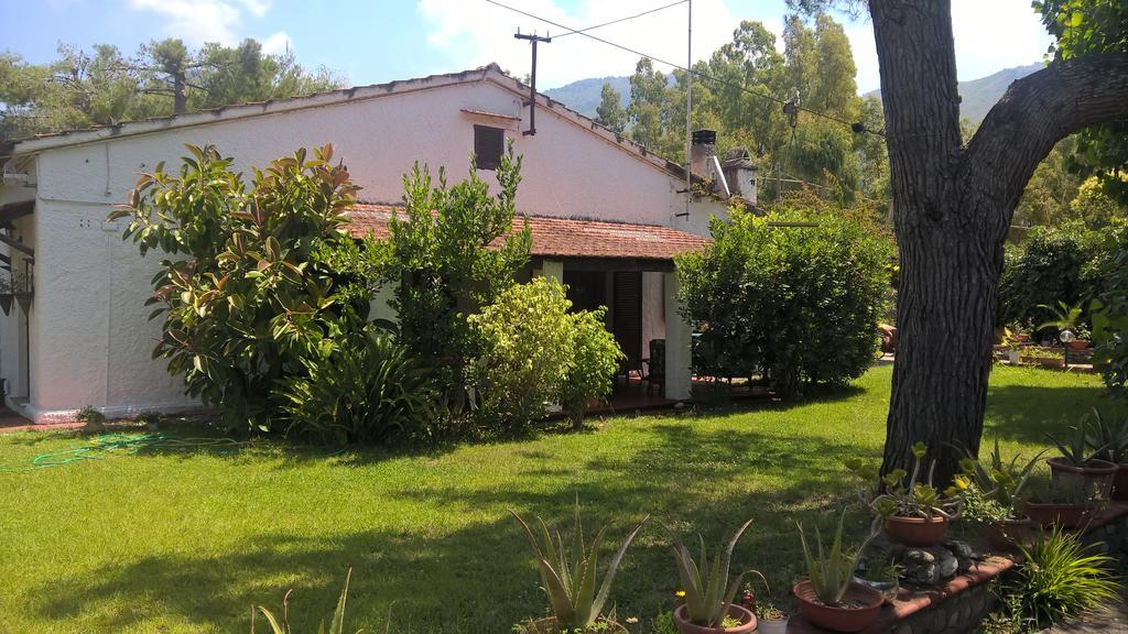 La Corte Delle Rose B&B Praia a Mare Eksteriør billede