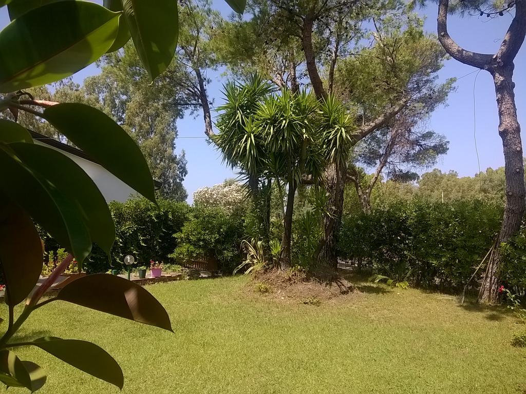 La Corte Delle Rose B&B Praia a Mare Eksteriør billede